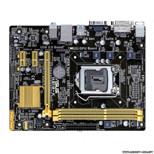 asus h81m